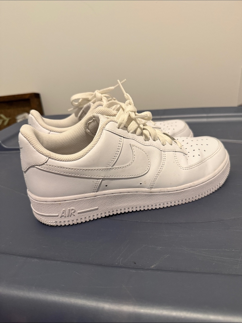 Nike Kids White Low-Top Swoosh Sneakers